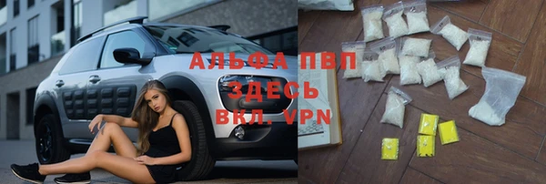 СК Заводоуковск