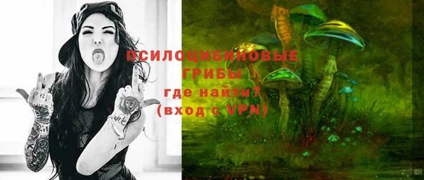 соль ск Заволжск